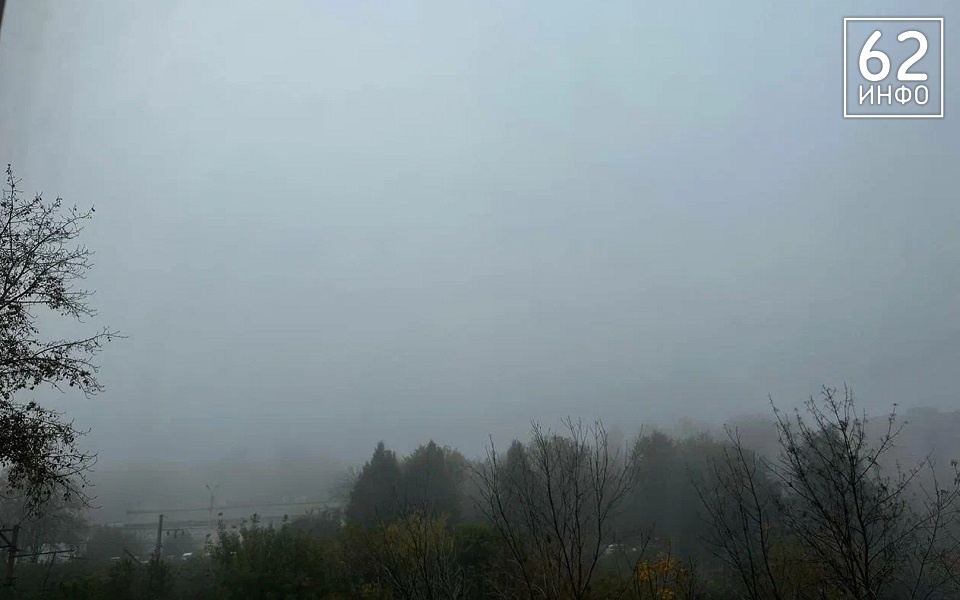 В Рязанской области 8 ноября пойдет дождь при температуре до +6°С - 62ИНФО