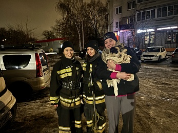 Щенок провалился и просидел три дня в траншее на заводе в Рязани