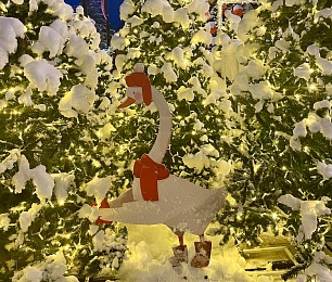 Снег и гирлянды превратили Рязань в новогоднюю открытку