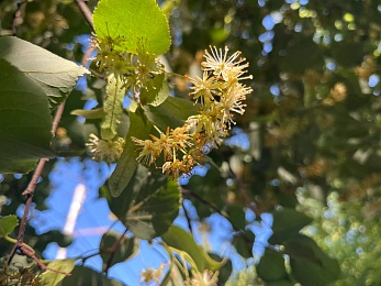 Провожаем лето: красивые фото Рязанской области с настроением отпуска