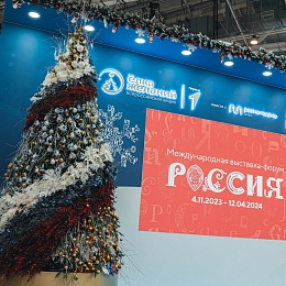 Главную ёлку московской ВДНХ украсили шарами с кадомским венизом