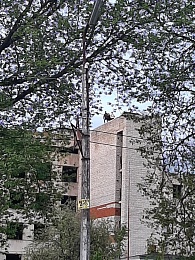 Рязанских подростков заметили на крыше недостроенной больницы в Приокском