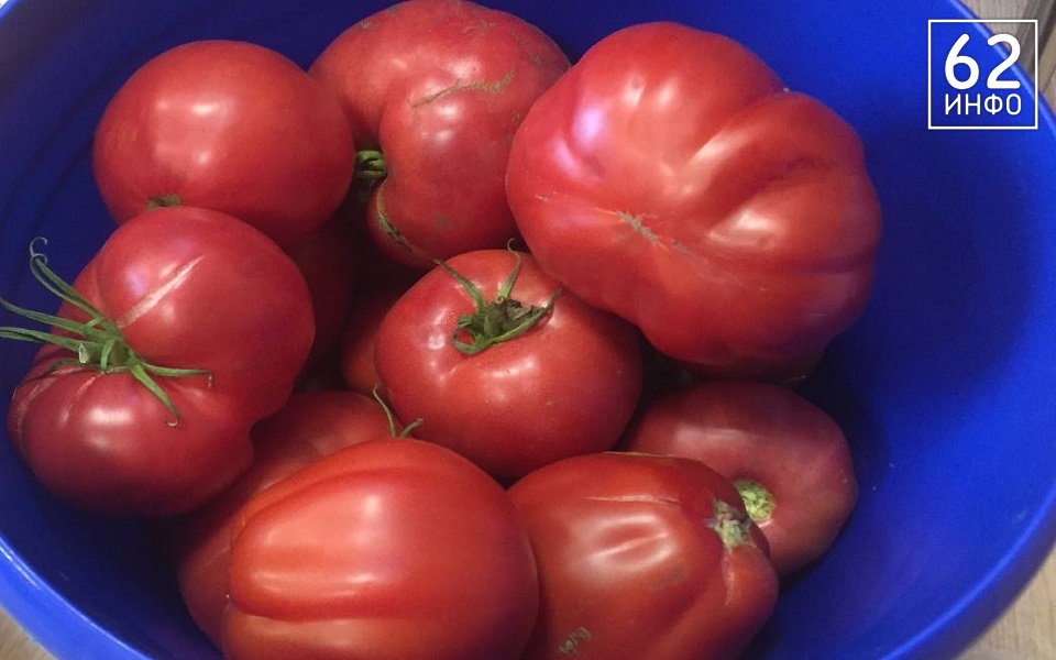 Безработный украл в Ряжске 10 кг помидоров - 62ИНФО