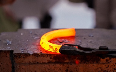 В рязанском Лесопарке прошел мастер-класс по кузнечному делу