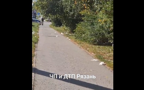 Рязанцев предупредили о подростках, бросающих из окна пакеты с водой
