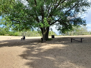 В Рязани проинспектировали пляж на Борковском карьере