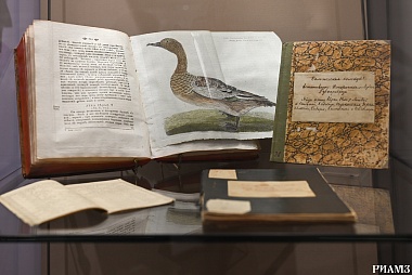 В РИАМЗе открылась выставка птичьих яиц
