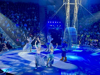 Рязанский цирк представил ледовое шоу «Айсберг»