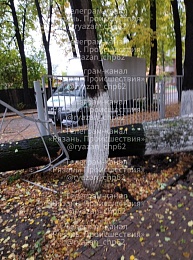 Дерево при падении уничтожило железное ограждение и разбило машину в Рязани - 62ИНФО Дерево при падении уничтожило железное ограждение и разбило машину в Рязани