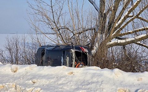 У села Дедюхино Рязанского района Lada вылетела в кювет и врезалась в дерево