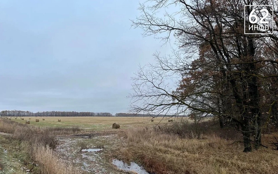 В Рязанской области дневная погода догонит ночную - 62ИНФО