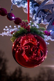 Рязанский Лесопарк готовится к Новому году