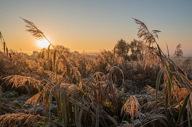 Рязанская епархия показала фотографии митрополита Марка - 62ИНФО Рязанская епархия показала фотографии митрополита Марка