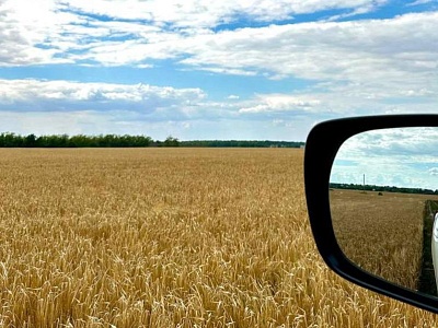 Рязанский Россельхознадзор выдал 455 предостережений в 2025 году 