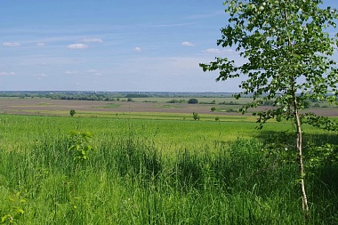 В Рязанском округе благоустроят «Тропу белого аиста»