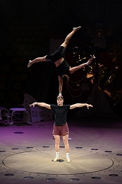 В Рязанском цирке провели «Открытую репетицию»