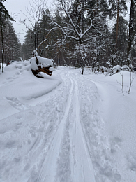Зимние развлечения: чем заняться в Рязани в снежном январе