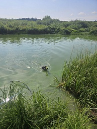 «Рай здесь»: Карин Кнайсль прорекламировала отдых в Рязанской области