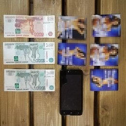 Полиция нашла в рязанской сауне 4 зрелых путан и опытного сутенера