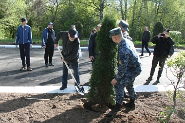 В Рязани высадили новые туи в Мемориальном парке