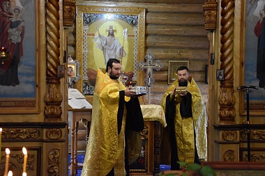 В Рязанскую область доставили мощи блаженной Матроны Московской и Николая Чудотворца