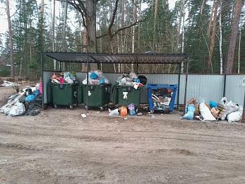 Жители Солотчи жалуются на мусор