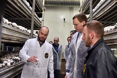 В Рязанской области появятся 500 рабочих мест на предприятии по производству грибов