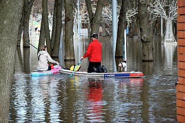 Рязанцы начали плавать на лодках и сап-бордах по затопленному Лесопарку