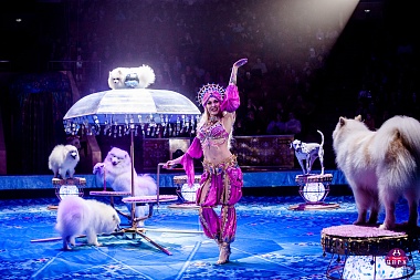 В Рязанском цирке представят шоу Гии Эрадзе «Песчаная Сказка» 