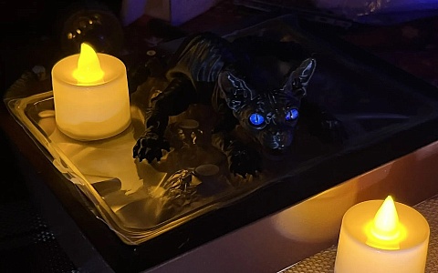 На 14 улицах Рязани отключили свет из-за аварии