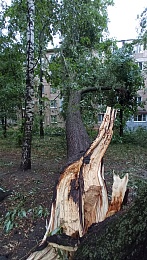 Гроза в Рязани: фоторепортаж ущерба - 62ИНФО Гроза в Рязани: фоторепортаж ущерба
