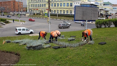 В Рязани начали высаживать цветы для надписи «Я люблю Рязань»