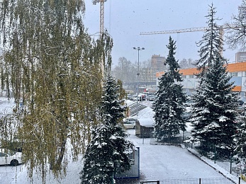 Рязанцы делятся фото первого снегопада в городе и в лесу