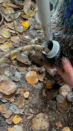 Семья щенков провалилась в узкий колодец в Рязани 