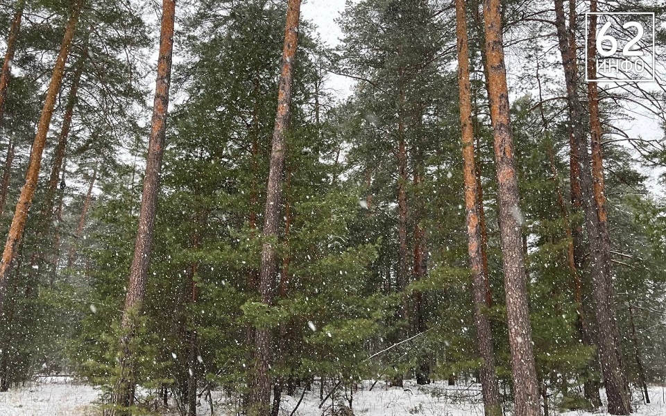 Балканский циклон изменит погоду в Рязанской области - 62ИНФО