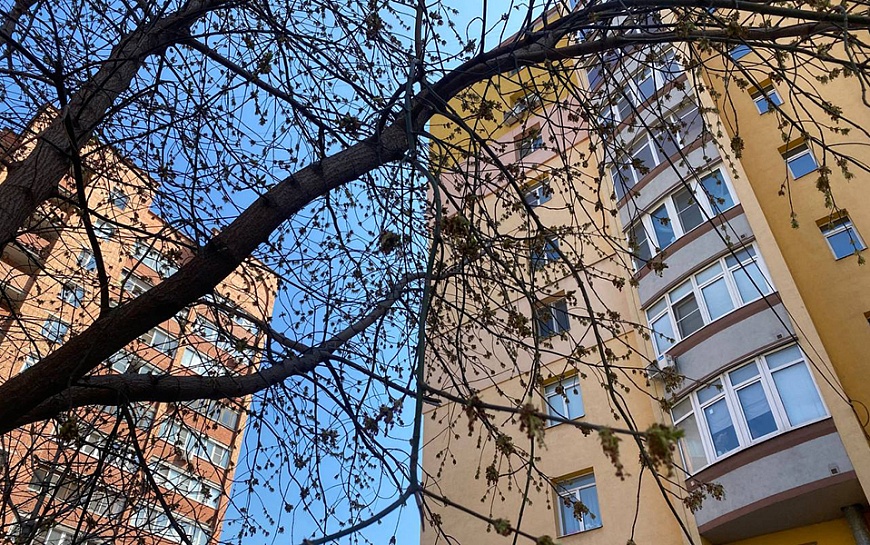 Погода 15 марта в Рязанской области: без осадков и до +10°С днем