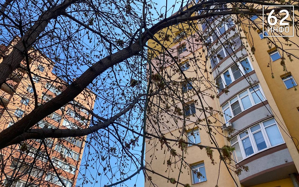 Погода 15 марта в Рязанской области: без осадков и до +10°С днем - 62ИНФО