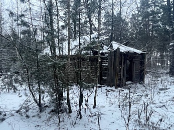 В рязанском лесу сфотографировали заброшки и лестницу в никуда - 62ИНФО В рязанском лесу сфотографировали заброшки и лестницу в никуда