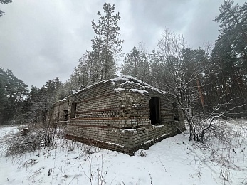 В рязанском лесу сфотографировали заброшки и лестницу в никуда - 62ИНФО В рязанском лесу сфотографировали заброшки и лестницу в никуда
