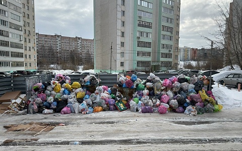 Рязанцы продолжают жаловаться на мусорные горы