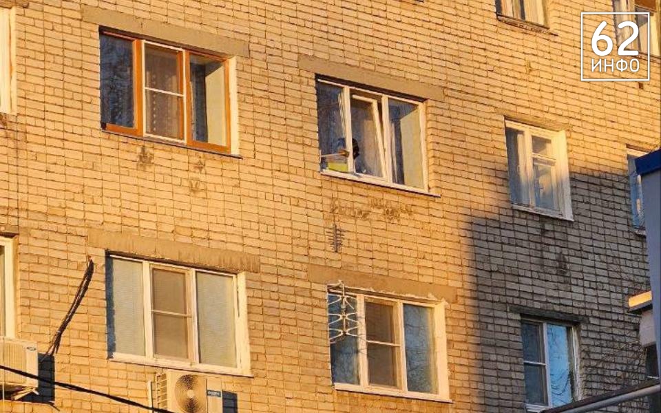 В Рязани заметили застрявшего в окне кота - 62ИНФО