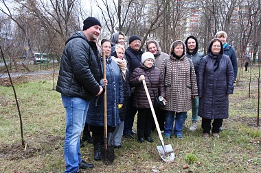 В Новопавловской роще высадили десятки новых деревьев