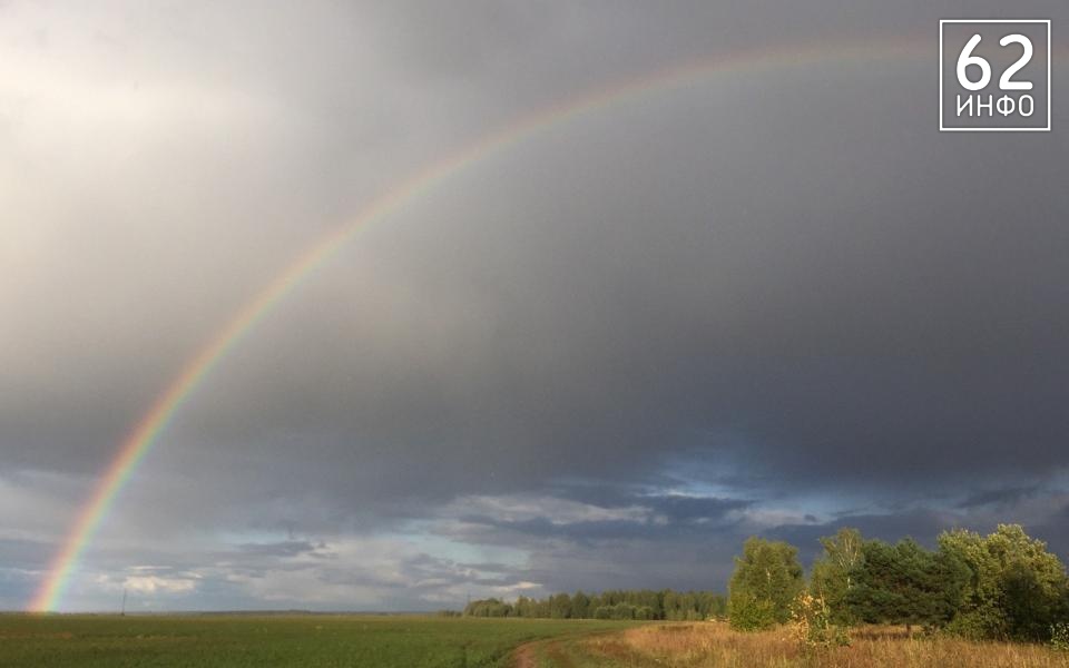 В Рязанской области 14 августа пройдёт гроза и сильный ветер - 62ИНФО
