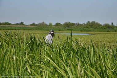 Рязанская мэрия и полиция провели рейды на местах несанкционированных пляжей