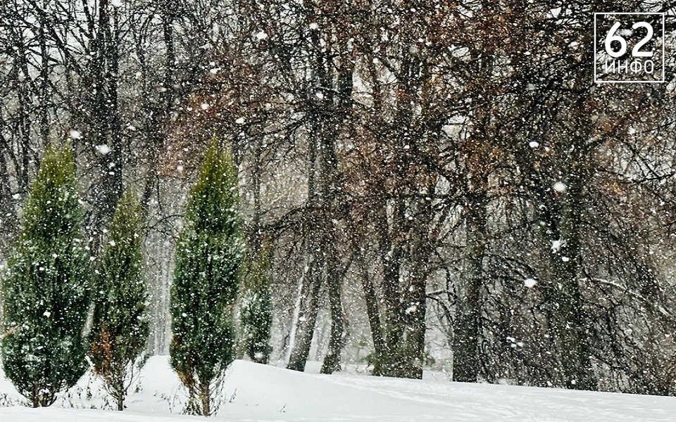 МЧС предупреждает рязанцев об усилении ветра до 17 м/с 12 февраля - 62ИНФО