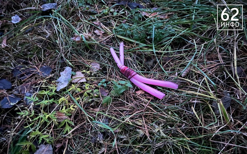 "Где Шепс и Череватый?": рязанка нашла следы жуткого магического обряда в Лесопарке - 62ИНФО "Где Шепс и Череватый?": рязанка нашла следы жуткого магического обряда в Лесопарке - 62ИНФО