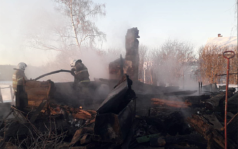 С начала года на пожарах в Рязанской области погибли 9 человек