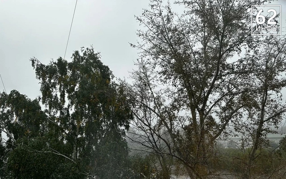 МЧС предупредило рязанцев об опасности из-за 7-балльного ветра - 62ИНФО