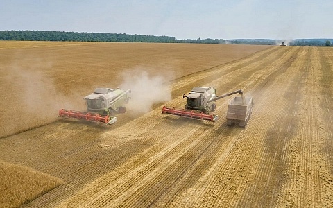 В 2025 году производство аграрной продукции в Рязанской области выросло на 10,8%