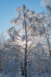 Рязанская епархия показала фотографии митрополита Марка - 62ИНФО Рязанская епархия показала фотографии митрополита Марка